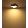 Globo DORO Lampa Sufitowa LED Wygląd drewna, Czarny, 1-punktowy