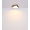 Globo DORO Lampa Sufitowa LED Wygląd drewna, Czarny, 1-punktowy
