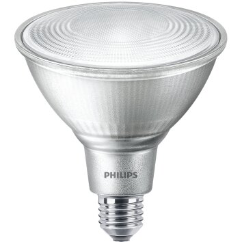 Philips LED E27 9 Wat 2700 Kelwinów 750 Lumenów