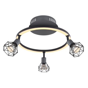 Globo JUTTA Lampa Sufitowa LED Czarny, 1-punktowy Globo JUTTA Lampa Sufitowa LED Czarny, 1-punktowy