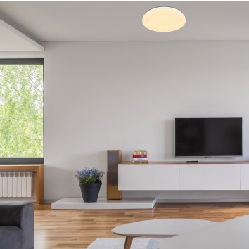 Globo HUBERT Lampa Sufitowa LED Biały, 1-punktowy