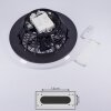 Pireaus wentylator sufitowy LED Czarny, 1-punktowy, Zdalne sterowanie, Zmieniacz kolorów