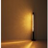 Globo FELICITAS Lampa Stojąca LED Nikiel matowy, Czarny, 1-punktowy
