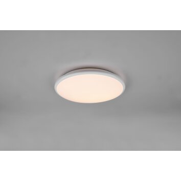 Reality Limbus Lampa Sufitowa LED Biały, 1-punktowy