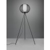 Trio Filo Lampa Stojąca Czarny, 1-punktowy Trio Filo Lampa Stojąca Czarny, 1-punktowy
