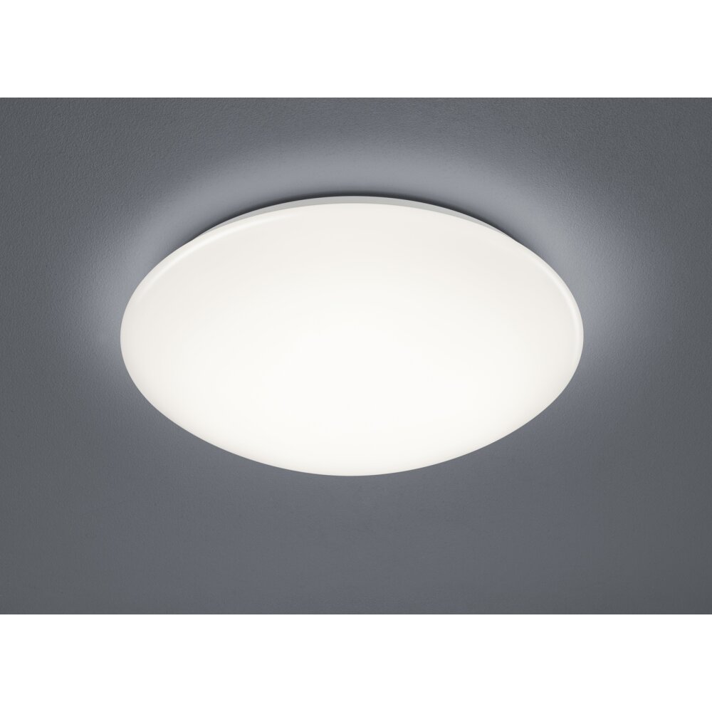 Trio Paolo Lampa Sufitowa LED Biały, 1-punktowy main product photo