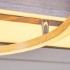 Loftheim Lampa Sufitowa LED Chrom, Nikiel matowy, 1-punktowy