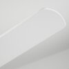 Tjerne wentylator sufitowy LED Biały, 1-punktowy, Zdalne sterowanie