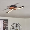 Odda Lampa Sufitowa