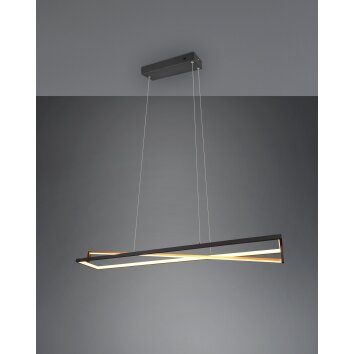Trio-Leuchten Edge Lampa Wisząca LED Czarny, 1-punktowy