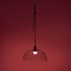 Leuchten-Direkt DAVID Lampa Wisząca LED Czarny, 1-punktowy, Zdalne sterowanie, Zmieniacz kolorów
