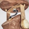 Grunnfjord Lampa Sufitowa Złoty, Ciemne drewno, 1-punktowy