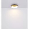 Globo JOLLI Lampa Sufitowa LED Wygląd drewna, 1-punktowy, Zdalne sterowanie