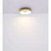 Globo JOLLI Lampa Sufitowa LED Wygląd drewna, 1-punktowy, Zdalne sterowanie