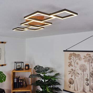 Zocca Lampa Sufitowa LED Brązowy, Ciemne drewno, 1-punktowy