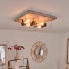 Hodne Lampa Sufitowa Szary, Ecru, Czarny, 4-punktowe
