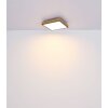 Globo DORO Lampa Sufitowa LED wygląd drewna, czarny, 1-punktowy, Zdalne sterowanie