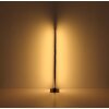 Globo DORO Lampa Stojąca LED Wygląd drewna, Czarny, 1-punktowy