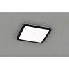 Reality CAMILLUS Lampa Sufitowa LED czarny, 1-punktowy