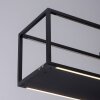 Paul-Neuhaus CONTURA Lampa Wisząca LED Czarny, 4-punktowe