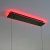 Paul-Neuhaus Q-ARIAN Lampa Wisząca LED Antracytowy, 4-punktowe, Zdalne sterowanie