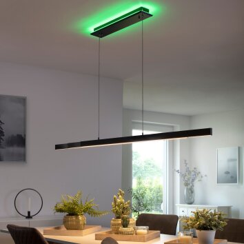 Paul-Neuhaus Q-ARIAN Lampa Wisząca LED Antracytowy, 4-punktowe, Zdalne sterowanie
