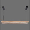 Paul-Neuhaus PALMA Lampa Wisząca LED Ecru, Czarny, 1-punktowy, Zdalne sterowanie