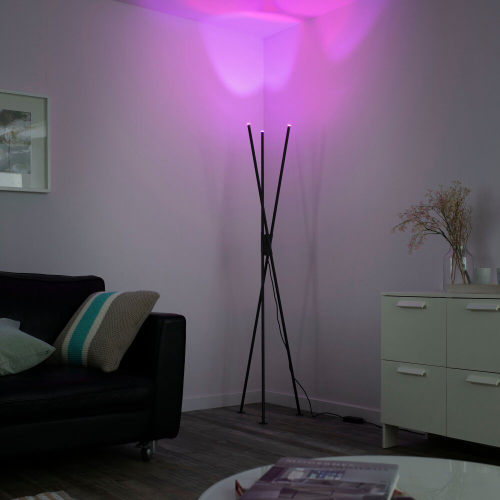 Paul-Neuhaus Q-PETER Lampa Stojąca LED Antracytowy, 3-punktowe, Zdalne sterowanie main product photo