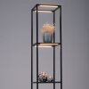 Paul-Neuhaus CONTURA Lampa Stojąca LED Czarny, 4-punktowe