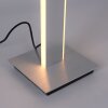 Paul-Neuhaus Q-ADRIANA Lampa Stojąca LED Aluminium, 2-punktowe, Zdalne sterowanie