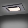 Paul-Neuhaus Q-ALTA Lampa Sufitowa LED Czarny, 1-punktowy, Zdalne sterowanie