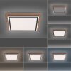 Paul-Neuhaus PALMA Lampa Sufitowa LED Ecru, Czarny, 2-punktowe, Zdalne sterowanie