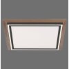Paul-Neuhaus PALMA Lampa Sufitowa LED Ecru, Czarny, 2-punktowe, Zdalne sterowanie