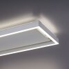 Paul-Neuhaus Q-KAAN Lampa Sufitowa LED Stal szczotkowana, 2-punktowe, Zdalne sterowanie