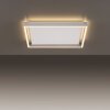 Paul-Neuhaus Q-KAAN Lampa Sufitowa LED Stal szczotkowana, 2-punktowe, Zdalne sterowanie