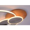 Paul-Neuhaus PALMA Lampa Sufitowa LED Ecru, Stal szczotkowana, 1-punktowy, Zdalne sterowanie