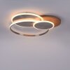 Paul-Neuhaus PALMA Lampa Sufitowa LED Ecru, Stal szczotkowana, 1-punktowy, Zdalne sterowanie