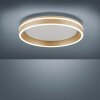 Paul-Neuhaus Q-VITO Lampa Sufitowa LED Mosiądz, 1-punktowy, Zdalne sterowanie