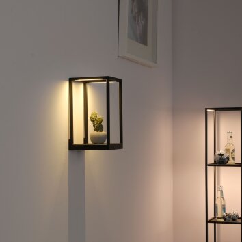 Paul-Neuhaus CONTURA Lampa ścienna LED Czarny, 2-punktowe
