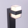 Paul-Neuhaus CARA Oświetlenie ścieżek LED Antracytowy, 2-punktowe