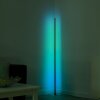 Leuchten-Direkt HENRY Lampa Stojąca LED Stal szczotkowana, 1-punktowy, Zdalne sterowanie