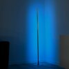 Leuchten-Direkt HENRY Lampa Stojąca LED Stal szczotkowana, 1-punktowy, Zdalne sterowanie