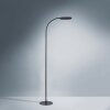 Leuchten-Direkt KELLY Lampa Stojąca LED Czarny, 1-punktowy