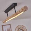 Winterthur Lampa Sufitowa LED Czarny, 1-punktowy