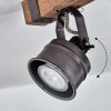 Pehefito Lampa Sufitowa Czarny, 2-punktowe