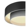 Globo NORBERT Lampa Sufitowa LED Czarny, 1-punktowy, Zdalne sterowanie
