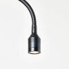 Brilliant-Leuchten Rayan Lampa ścienna LED Jasne drewno, Czarny, 1-punktowy