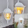 Naofe Lampa Wisząca biały, 1-punktowy