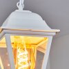 Naofe Lampa Wisząca biały, 1-punktowy