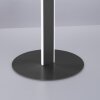Paul-Neuhaus Q-VITO Lampa Stojąca LED Antracytowy, 3-punktowe, Zdalne sterowanie
